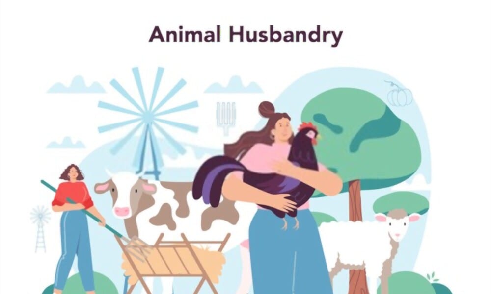 animal husbandry